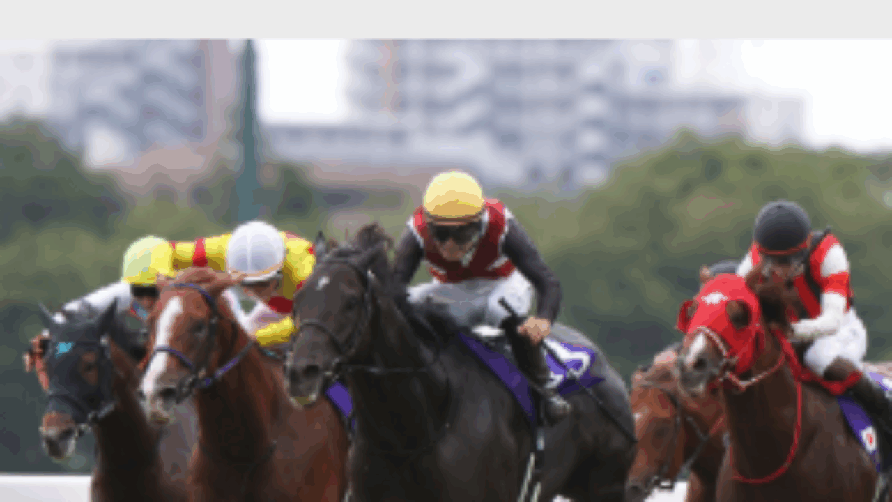 スプリンターズステークス～ポスター＆レープロ【2025】 | JRA競馬