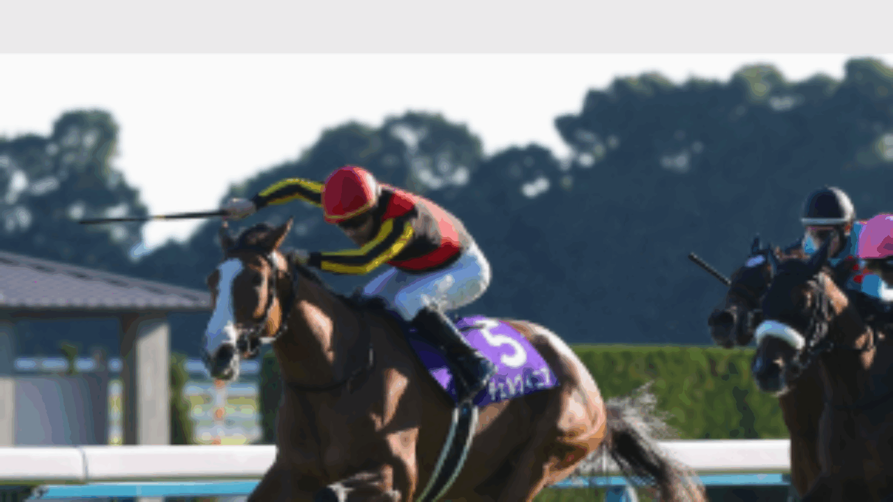 秋華賞 ポスター＆レープロ【2025】 | JRA競馬ナンデもサイト