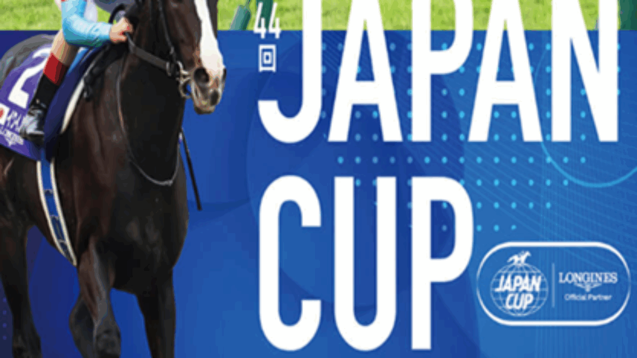 2024年 ジャパンカップ イクイノックス ポスター 2024ジャパンカップ ポスター｜日本サイン競馬会