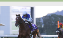 2025年 スプリンターズステークス ルガル ポスター スプリンターズステークス～ポスター＆レープロ【2025】 | JRA競馬