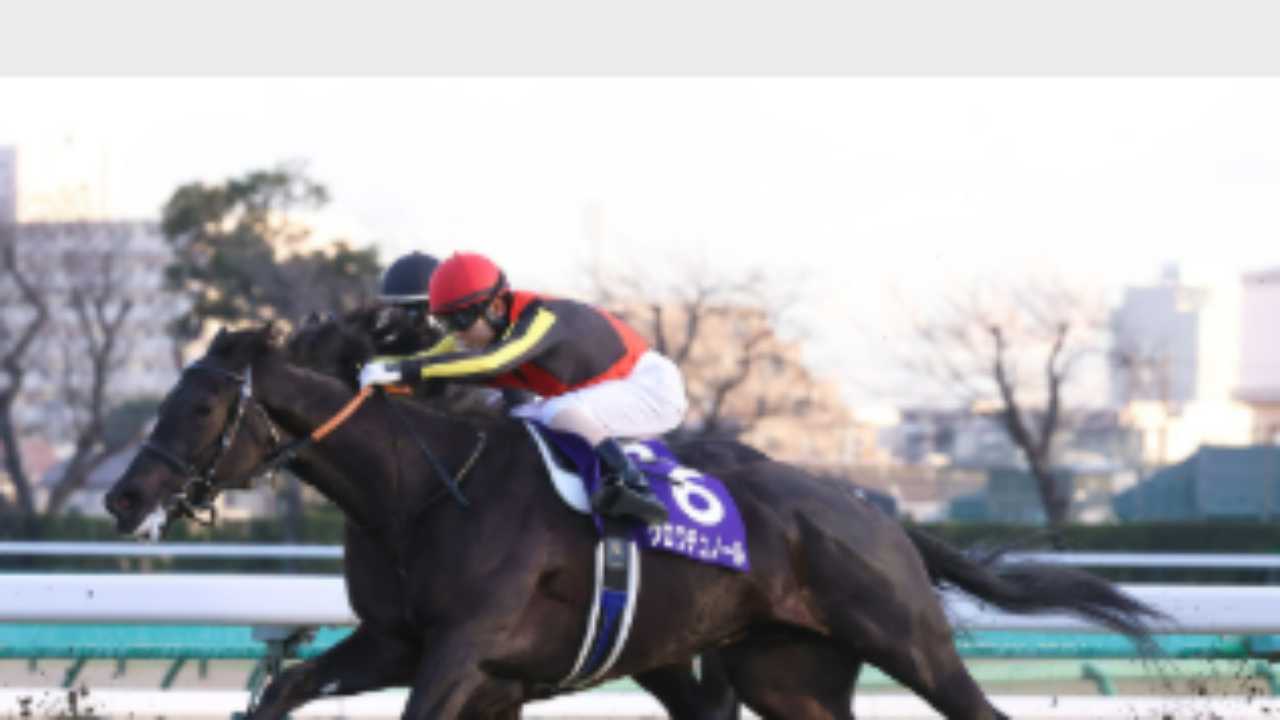 ホープフルステークス2025 ポスター＆レープロ | JRA競馬ナンデもサイト