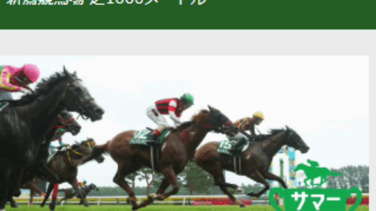 新潟競馬場 限定【新品未使用】アイビスサマーダッシュ 2025 トートバッグ 新潟競馬場 限定【新品未使用】アイビスサマーダッシュ 2025
