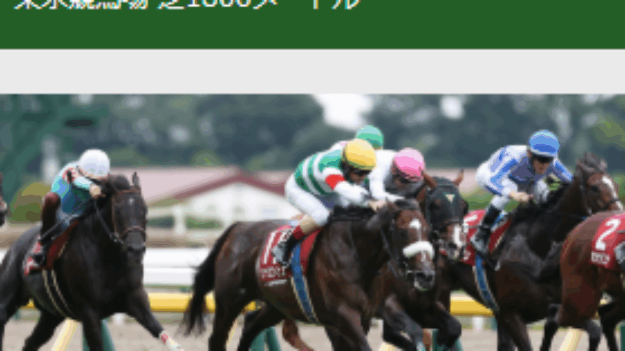 毎日王冠 想定 オッズ＆サイン馬券【2025】 | JRA競馬ナンデもサイト