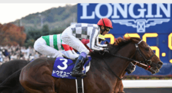 スプリンターズステークス～ポスター＆レープロ【2025】 | JRA競馬