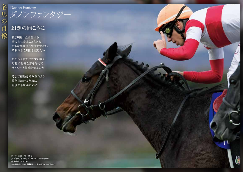 阪神ジュベナイルフィリーズ＆香港国際競走2025 ポスター＆レープロ