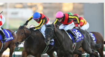 安田記念2025～ポスター＆レーシングプログラム | JRA競馬ナンデもサイト