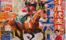 香港チャンピオンズデー【2026】ブックメーカーオッズ | JRA競馬ナンデ