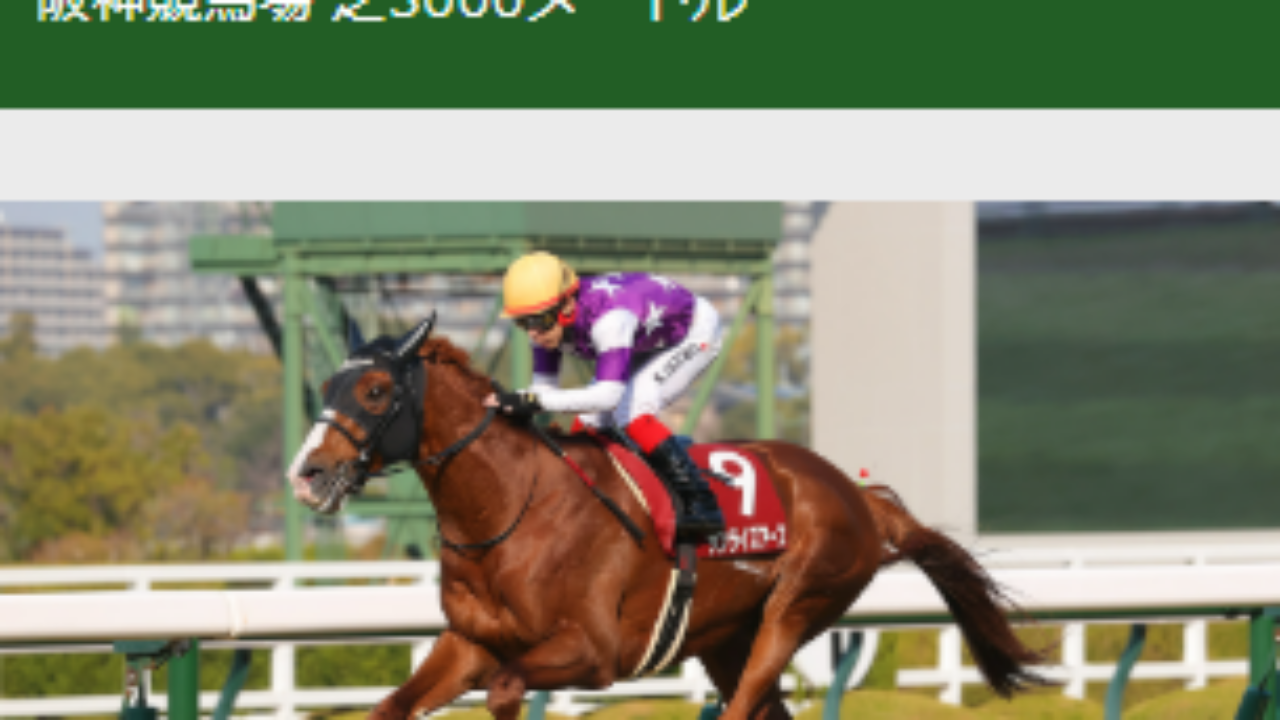 阪神大賞典 想定 前売オッズ＆サイン馬券【2026】 | JRA競馬ナンデもサイト